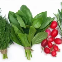 سبزی تازه