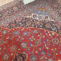 قالی|فرش|میانه, |دیوار