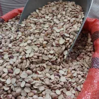 لوبیا *شکسته* چیتی *ایرانی* نصفه مناسب آش شله|خوردنی و آشامیدنی|مشهد, امامیه (شهرک غرب)|دیوار