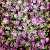محصولات عطاری