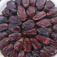 خرما صادراتی کبکاب بهبهان استان خوزستان|خوردنی و آشامیدنی|شیراز, باغ تخت|دیوار