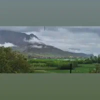 زمین مسکونی