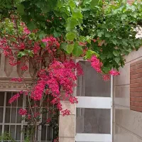 ویلایی-3-طبقه-کامل