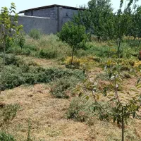 خدمات باغبانی وشخم زنی بیل زنی