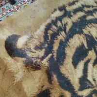 گلیم 4متری پلنگی