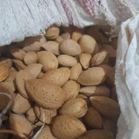 کشمش بادام|خوردنی و آشامیدنی|مشهد, بهمن|دیوار
