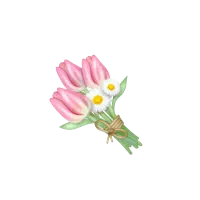 نظافت منزل خود را به ما بسپارید