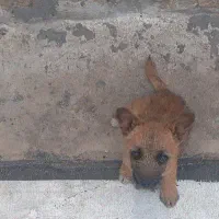 فروش فوری فروش فوری