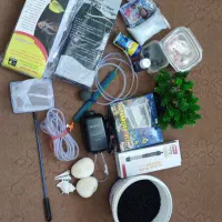 آکواریوم|ماهی|مبارکه, |دیوار