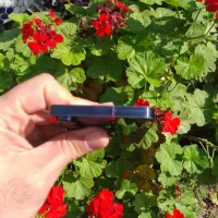 A55 256g ram 8|موبایل|بابل, |دیوار