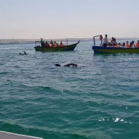 بلیط قطار و پرواز تهران و بندر و مقصد شما