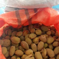 بادام تازه