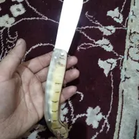 چاقوی دست ساز تیغه کنس بلبرینگ دسته شاخ قوچ کوهی|کلکسیون و سرگرمی|گلپایگان, |دیوار