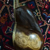 تار حرفه ای اعلا میثم علیاری|سازهای سنتی|پاکدشت, پاکدشت (مامازند)|دیوار