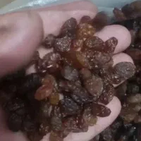 کشمش درجه یک طبیعی طبیعی