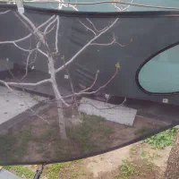 رو داشبوردی - پرده آفتاب گیر - کمک و فنر پژو - جک