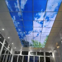 اجرای سقف کاذب کناف تایل دامپا|خدمات پیشه و مهارت|لردگان, |دیوار