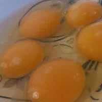 تخم مرغ رسمی محلی