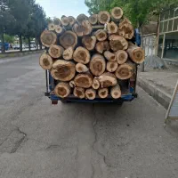 خرید و برش انواع چوب|خدمات باغبانی و درختکاری|نقده, |دیوار