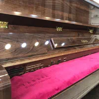 پیانو یاماها طرح اکوستیک p145 pro|پیانو، کیبورد، آکاردئون|شیراز, رازی|دیوار