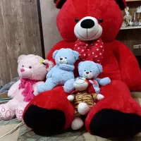 حراج خرس ولنتاین هارد کیس گیتار کتاب قاب،میزخاطره