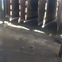 دنبال یک قالیشویی هستی که ...‌.