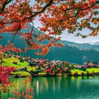 راهنمایی کنید.