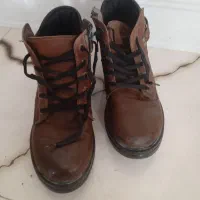 نیم پوت مرذانه