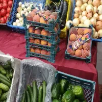 وسایل میوه فروشی ب قیمت مناسب