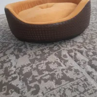 جای خواب سگ و گربه