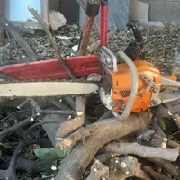 برش  وهرس انواع درخت درآوردن ریشه و(کلیه کارها )