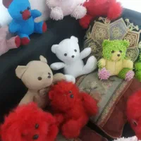 خرسهای رنگی