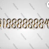 4*8888888*091|سیم‌کارت|مشهد, دانشجو|دیوار