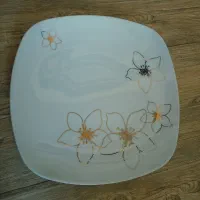 پلوخوری زرین