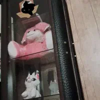 بوفه