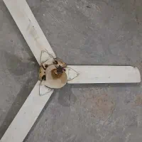 پنکه سقفی|پنکه و تصفیه‌کنندهٔ هوا|قم, شهرک امام حسین|دیوار