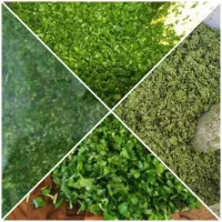 سبزیجات قرمه کوکو اش تمیزاورگانیک عطری متفاوت طعمی|خوردنی و آشامیدنی|سبزوار, پاسداران|دیوار