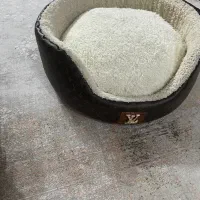 جای حیوانات