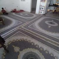 قالی فروشی مرودشت|فرش|مرودشت, ابوذر جنوبی|دیوار