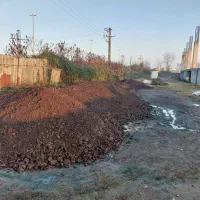 کود حیوانی مرغوب