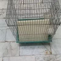 قفس پرنده