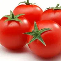 فروش گوجه درجه یک ابگیری گوجه|خوردنی و آشامیدنی|مشهد, اروند (کشف)|دیوار