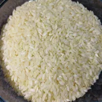 برنج کامفیروزی