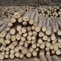 شریک سرمایه گذار