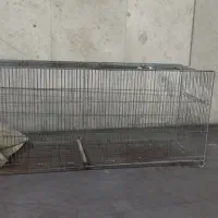 قفس جوجه پرون