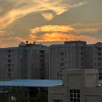 پرستار و نظافت