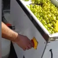 دستگاه آبغوره ساز دستگاه گوجه گیری آبلیمو آب غوره|کافی‌شاپ و رستوران|شیراز, قصرالدشت|دیوار