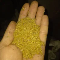 بذر علف