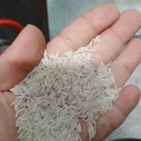 برنج پاکستانی رویال درجه۱