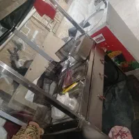 بدونه بیمه